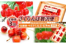 【定期便3回】【さくらんぼ贅沢便B】山形のさくらんぼ 佐藤錦・やまがた紅王・紅秀峰 各540g×3回 【令和8年産先行予約】FS25-001