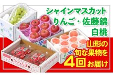 【定期便4回】☆フルーツ王国山形☆『シャインマスカット、りんご、佐藤錦、白桃』 FY25-309