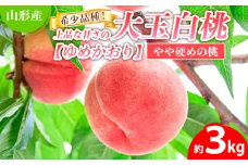 希少品種！！上品な甘さの大玉白桃【ゆめかおり】約3kg [やや硬めの桃]  FY25-322