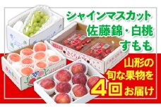 【定期便4回】☆フルーツ王国山形☆『シャインマスカット、佐藤錦、白桃、すもも』 FY25-311
