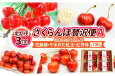 【定期便3回】【さくらんぼ贅沢便A】山形のさくらんぼ 佐藤錦・やまがた紅王・紅秀峰 各720g×3回 【令和8年産先行予約】FS25-002