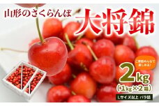 【ご家庭みんなで楽しめる！2kg】山形のさくらんぼ 大将錦 2kg Lサイズ以上 バラ詰(1kg×2箱) 【令和8年産先行予約】FS25-008