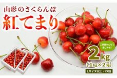 【ご家庭みんなで楽しめる！2kg】山形のさくらんぼ 紅てまり 2kg Lサイズ以上 バラ詰 (1kg×2箱) 【令和8年産先行予約】FS25-009