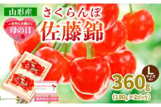 一足先にお届け！【母の日】さくらんぼ佐藤錦360gLサイズ以上(180g×2パック) 【令和8年産先行予約】FS25-013