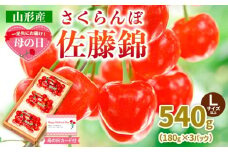 一足先にお届け！【母の日】さくらんぼ佐藤錦540gLサイズ以上(180g×3パック) 【令和8年産先行予約】FS25-014