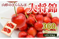 山形のさくらんぼ 大将錦 360gLサイズ以上 (180g×2パック) 【令和8年産先行予約】FS25-015