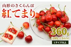 山形のさくらんぼ 紅てまり 360g Lサイズ以上 (180g×2パック) 【令和8年産先行予約】FS25-016