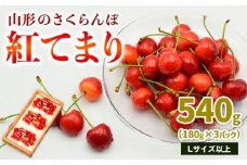 山形のさくらんぼ 紅てまり 540g Lサイズ以上 (180g×3パック) 【令和8年産先行予約】FS25-018