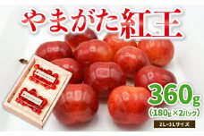 やまがた紅王 約360g 2～3Lサイズ (180g×2パック) 【令和8年産先行予約】FS25-019