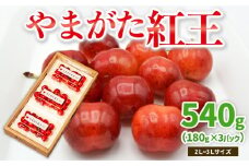 やまがた紅王 約540g 2～3Lサイズ (180g×3パック) 【令和8年産先行予約】FS25-020