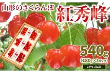 山形のさくらんぼ 紅秀峰 540g Lサイズ以上 (180g×3パック) 【令和8年産先行予約】FS25-022