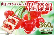山形のさくらんぼ 佐藤錦 360g Lサイズ以上 (180g×2パック) 【令和8年産先行予約】FS25-023