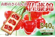 山形のさくらんぼ 佐藤錦 540g Lサイズ以上 (180g×3パック) 【令和8年産先行予約】FS25-024