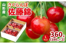 さくらんぼ(佐藤錦) Lサイズ 360g(180g×2パック) 【令和8年産先行予約】FS25-044
