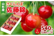 さくらんぼ(佐藤錦) Lサイズ 540g(180g×3パック) 【令和8年産先行予約】FS25-045