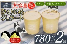 COZAB GELATO 訳あり 大容量 ひとりじめサイズ 2個セット FY25-276