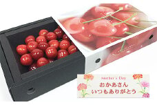 ★5月まるごと母の日★さくらんぼ 佐藤錦 スリーヴ Lサイズ 300g (5/15～発送)【令和8年産先行予約】 FS24-677 くだもの 果物 フルーツ 山形 山形県 山形市 2026年産