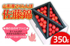 ★母の日★山形産 さくらんぼ 佐藤錦 Lサイズ 350g クロスバラ詰メッセージ付(5/4～5/10着)  【令和8年産先行予約】FS25-543 くだもの 果物 フルーツ 山形 山形県 山形市 2026年産