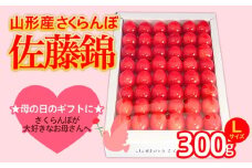 ★5月まるごと母の日★さくらんぼ 佐藤錦 Lサイズ 300g 手詰  (5/15～発送)【令和8年産先行予約】FS25-551 くだもの 果物 フルーツ 山形 山形県 山形市 2026年産