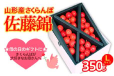 ★５月まるごと母の日★さくらんぼ 佐藤錦 Lサイズ 350g (5/15～発送)【令和8年産先行予約】 FS25-550 くだもの 果物 フルーツ 山形 山形県 山形市 2026年産