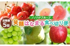 【定期便5回】ノノハナフルーツ 笑顔はなまる食べ切り便  FY25-328