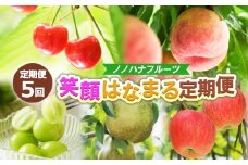 【定期便5回】ノノハナフルーツ 笑顔はなまる定期便 FY25-329