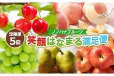 【定期便5回】ノノハナフルーツ 笑顔はなまる満足便 FY25-330