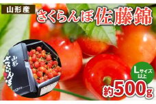 さくらんぼ 佐藤錦 L以上 約500g【令和8年産先行予約】FS25-058