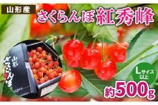 さくらんぼ 紅秀峰 L以上 約500g【令和8年産先行予約】FS25-059