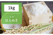 【令和7年産新米】 天日干しの手間をかけた (新米はえぬき) 丹野さん家のコメ 精米 1kg FY25-333