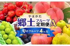 【定期便4回】やまがた郷土フルーツ定期便A FY25-342
