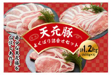 天元豚 よくばり詰合せセット 計1.2kg しゃぶしゃぶ 焼肉 とんかつ 豚肉 しゃぶしゃぶ 焼肉 とんかつ 食べ比べ 詰め合わせ 便利 小分け ブランド豚 安全 ヘルシー ポーク 低カロリー おかず お取り寄せ 送料無料 東北 山形県 米沢市