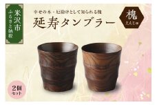 延寿 タンブラー 2個セット 槐（えんじゅ）カップ コップ