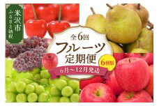 《 先行予約 》【 定期便 】 令和７年産 旬のフルーツ定期便 計 ６回 配送 〔 6月 ～ 12月 〕 ( さくらんぼ ぶどう りんご ラ・フランス ) 2025年産
