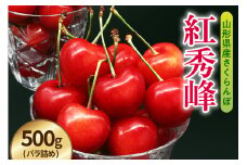 《 先行予約 》 令和7年産 さくらんぼ 紅秀峰 500g （ バラ詰め ）〔 2025年6月中旬～7月上旬頃お届け 〕 2025年産