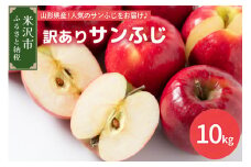 【先行予約】令和7年産 訳あり りんご（サンふじ）10kg 2025年11月中旬～ お届け ご家庭用 2025年産