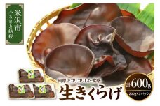 《先行予約》【 期間限定 】 生きくらげ 計 600g （ 200g × 3パック ）〔 2025年 6月 ～ 10月 中旬頃お届け 〕 米沢産 きくらげ きのこ 冷蔵