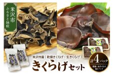 《先行予約》【 期間限定 】 きくらげ セット 計 4セット（ 生きくらげ 2パック 乾燥きくらげ 2袋 ）〔 2025年 6月 ～ 10月 中旬頃お届け 〕 米沢産 きくらげ きのこ 冷蔵