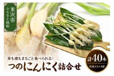 つのにんにく 詰合せ 4袋 ( 1袋 10本入り ) 計 40本 発芽にんにく にんにく 水耕栽培
