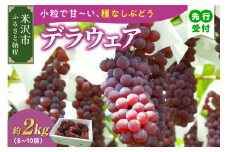 《 先行予約 数量限定 》 【 令和7年産 】 デラウェア 2kg 8 ～ 10房 種無し ぶどう〔 8月下旬 ～ 9月下旬頃お届け 〕 2025年産 農家直送 産地直送