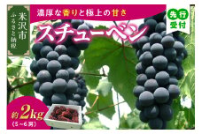 《 先行予約 数量限定 》 【 令和7年産 】 スチューベン 2kg 5 ～ 6房 ぶどう 〔 9月下旬 ～ 10月下旬頃お届け 〕 2025年産 農家直送 産地直送