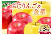 【 令和6年産 】 りんご 2種 詰め合わせ （ ふじ 金星 ） 計 3kg 〔 12月上旬～お届け 〕 2024年産