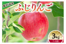 【 令和6年産 】 ふじ （ りんご ） 3kg 7～12玉 〔 12月上旬～お届け 〕 2024年産