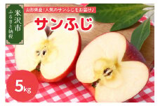 【先行予約】令和7年産 サンふじ（りんご）5kg（秀以上）14玉～18玉 2025年 11月中旬～ お届け 2025年産