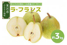 【先行予約】令和7年産 ラ・フランス 3kg（8～9玉）2025年11月中旬～ お届け ラフランス 洋梨 西洋梨 2025年産