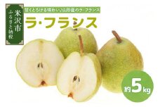 【先行予約】令和7年産 ラ・フランス 5kg （14～16玉） 2025年11月中旬～ お届け ラフランス 洋梨 西洋梨 2025年産