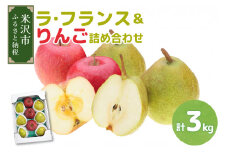 【先行予約】令和7年産 ラ・フランス＆りんご 詰め合わせ 計3kg 2025年11月中旬～ お届け ラフランス リンゴ 林檎 洋梨 西洋梨 2025年産 