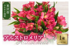 アルストロメリア 1束 ( 10本 入り ) 〔 ピンク系 〕 花 生花