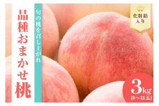 《 先行予約 数量限定 》 令和7年産 もも 3kg （ 化粧箱 ） 品種おまかせ 8～11玉 〔 2025年8月中下旬～9月上旬頃お届け 〕 2025年産