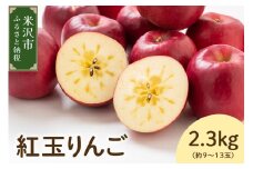 《 先行予約 》【令和7年産】紅玉 りんご 2.3kg 9～13玉 〔 2025年10月中旬頃～ お届け 〕 2025年産